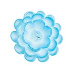 Róża angielska duża cieniowana niebieska - Daisy Decor